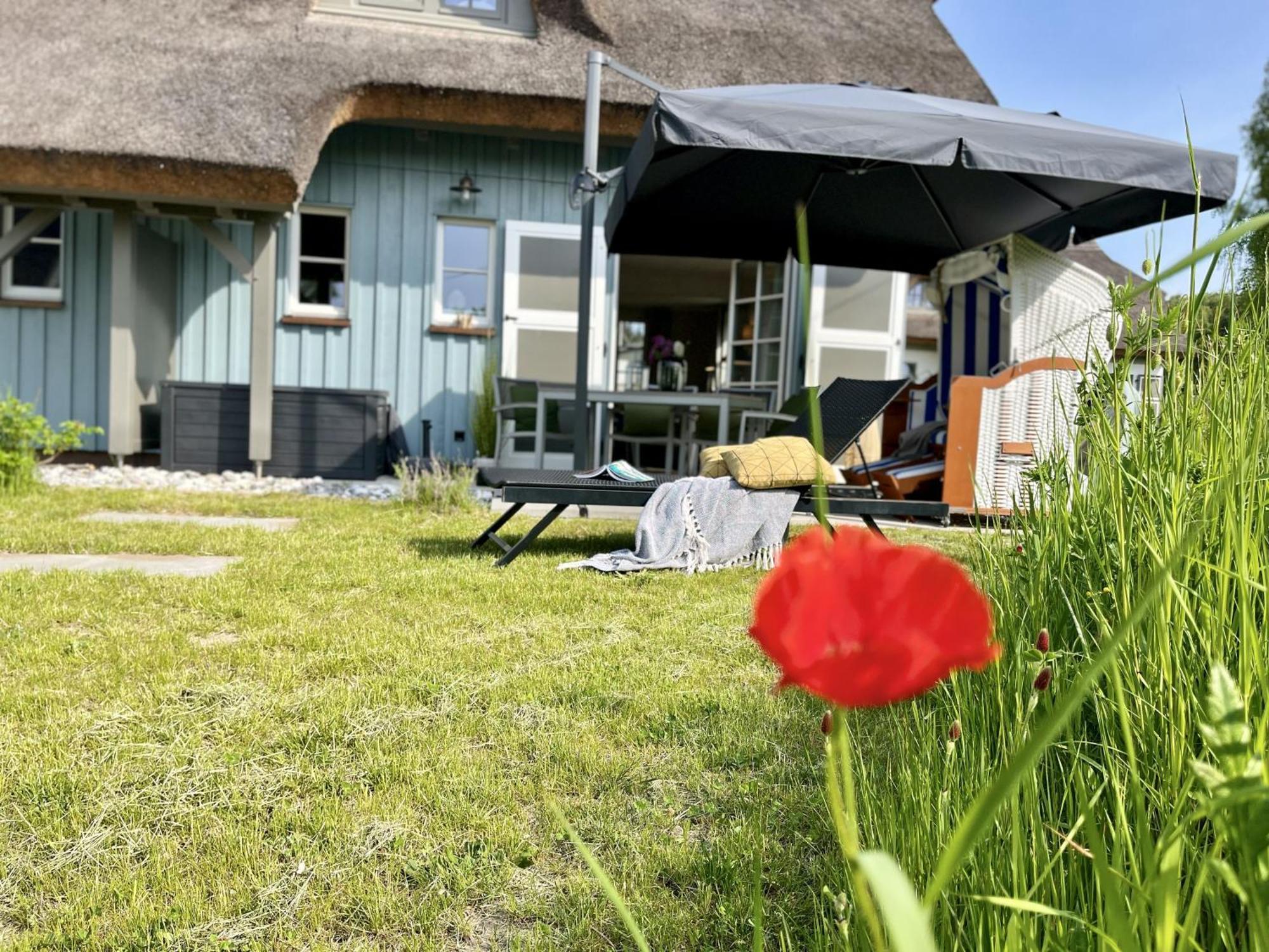 Ferienhaus Strandflieder 05 Feriendorf Klein Stresow Ruegen By Ruyastay Putbus Extérieur photo